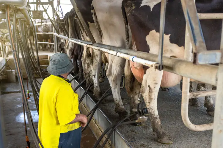 Fourth view of Homely rural property listing, 282 & 350 Newtons Road, Dumaresq Island NSW 2430