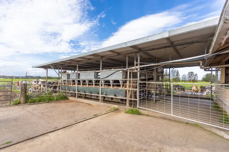 Sixth view of Homely rural property listing, 282 & 350 Newtons Road, Dumaresq Island NSW 2430