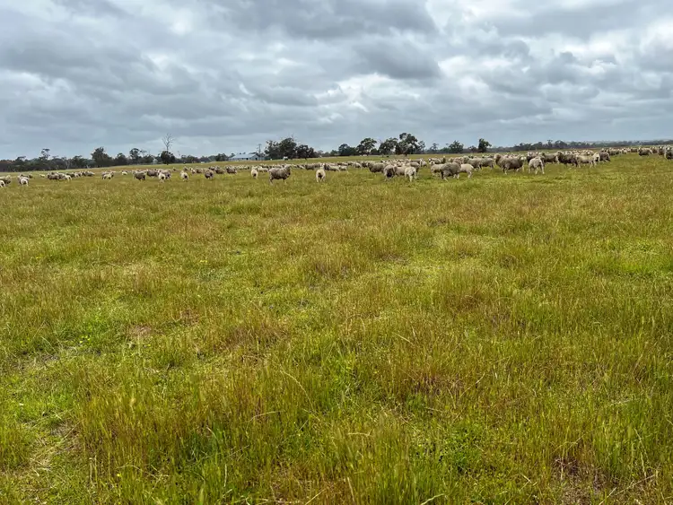 Fourth view of Homely rural property listing, 331 Clitchbury Road, Frankland River WA 6396