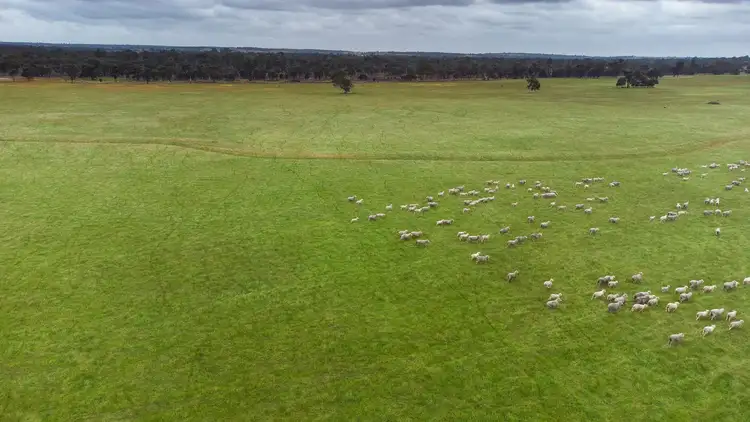 Fifth view of Homely rural property listing, 331 Clitchbury Road, Frankland River WA 6396