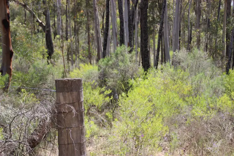 Second view of Homely rural property listing, 199 Homeleigh Drive, Coonabarabran NSW 2357