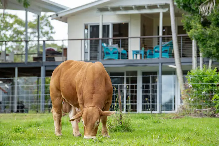 Main view of Homely rural property listing, 722 Noosa Road, Mothar Mountain QLD 4570