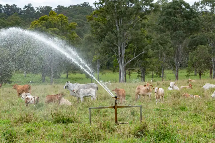 Fifth view of Homely rural property listing, 722 Noosa Road, Mothar Mountain QLD 4570