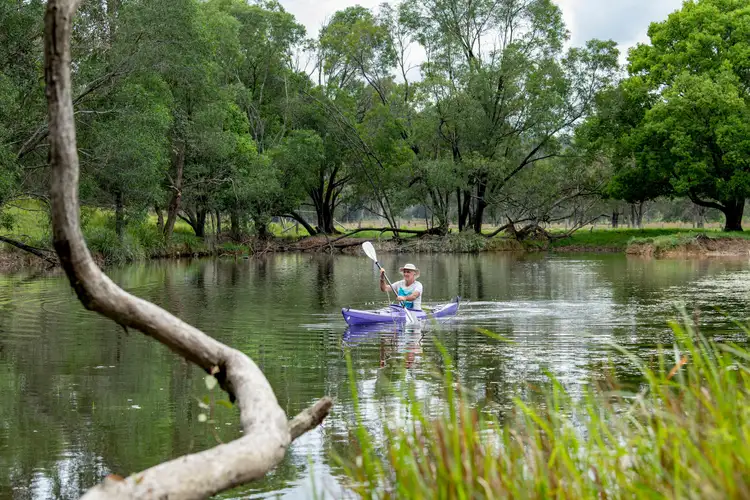 Sixth view of Homely rural property listing, 722 Noosa Road, Mothar Mountain QLD 4570