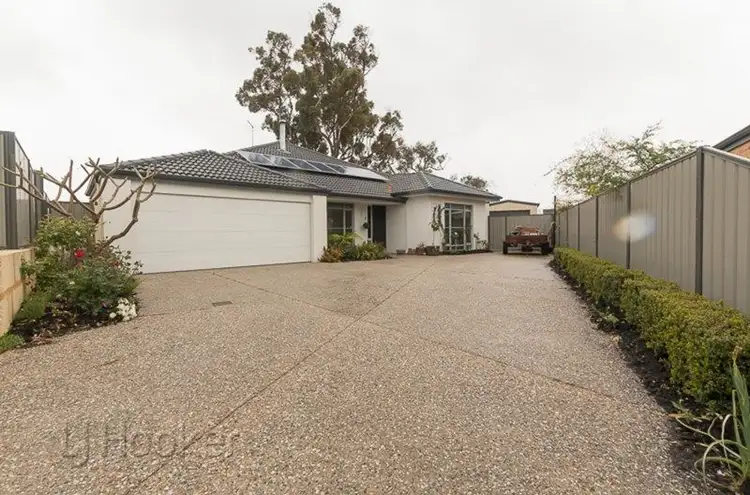 Main view of Homely house listing, 19 Arrino Parade, Baldivis WA 6171