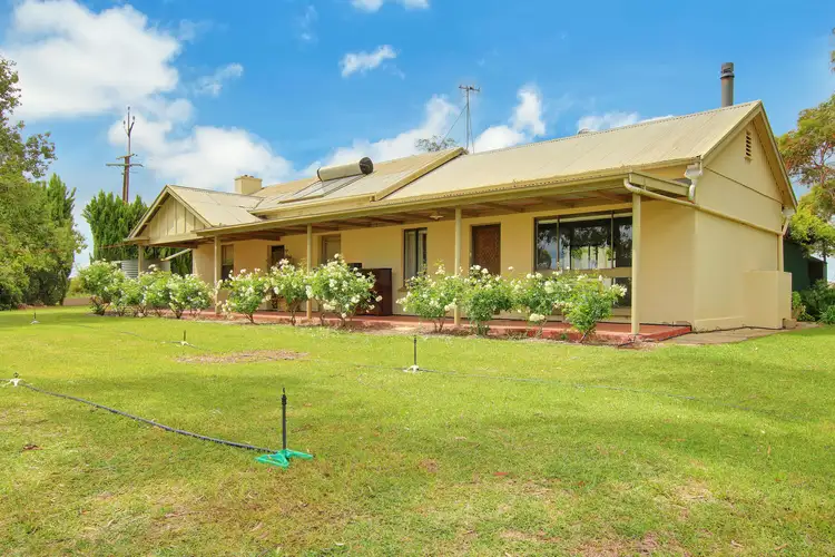 Main view of Homely house listing, 36 Mattner Road, Waikerie SA 5330