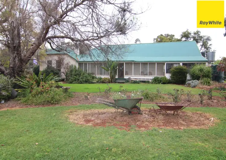 Main view of Homely rural property listing, 8184 Gwydir Highway, Inverell NSW 2360
