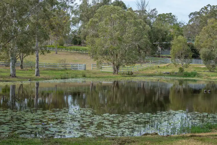Fifth view of Homely rural property listing, 767-775 Priestdale Road, Priestdale QLD 4127