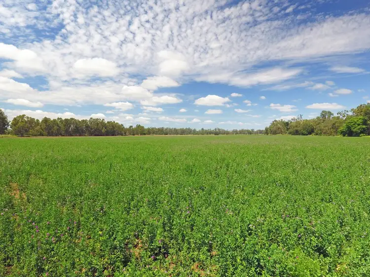 Second view of Homely rural property listing, 1920 Tomlins Road, Dixalea QLD 4702