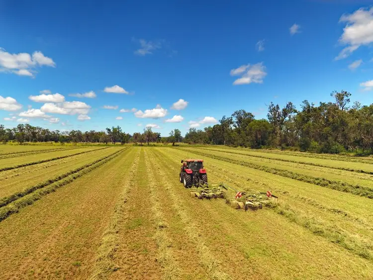 Third view of Homely rural property listing, 1920 Tomlins Road, Dixalea QLD 4702