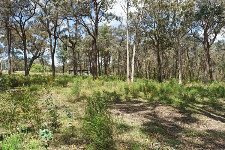 Seventh view of Homely rural property listing, 1400 Tugalong Road, Canyonleigh NSW 2577