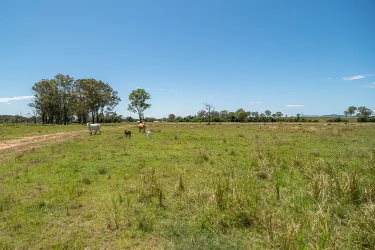 Second view of Homely rural property listing, Melton Downs Barnes Road, Allenview QLD 4285