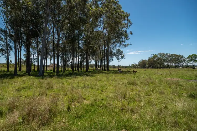Fifth view of Homely rural property listing, Melton Downs Barnes Road, Allenview QLD 4285