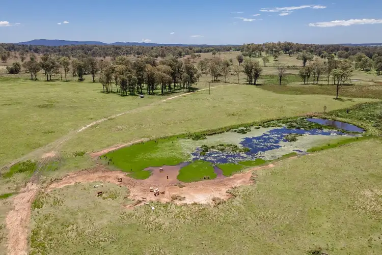 Seventh view of Homely rural property listing, Melton Downs Barnes Road, Allenview QLD 4285