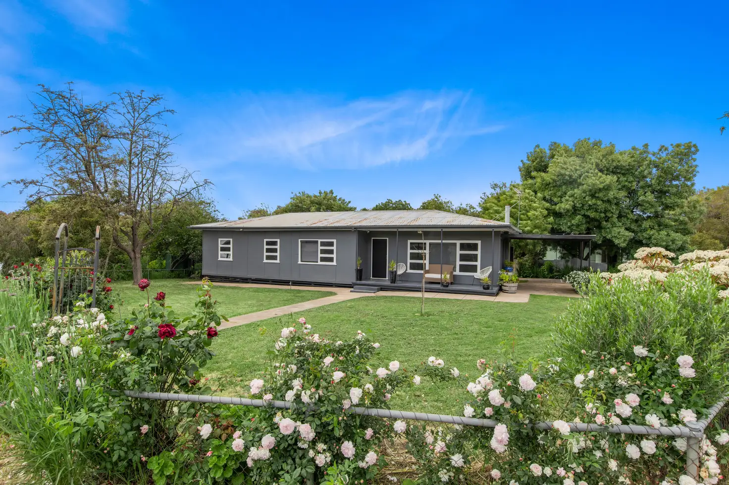 Main view of Homely house listing, 5 Pattullo Avenue, Clare SA 5453