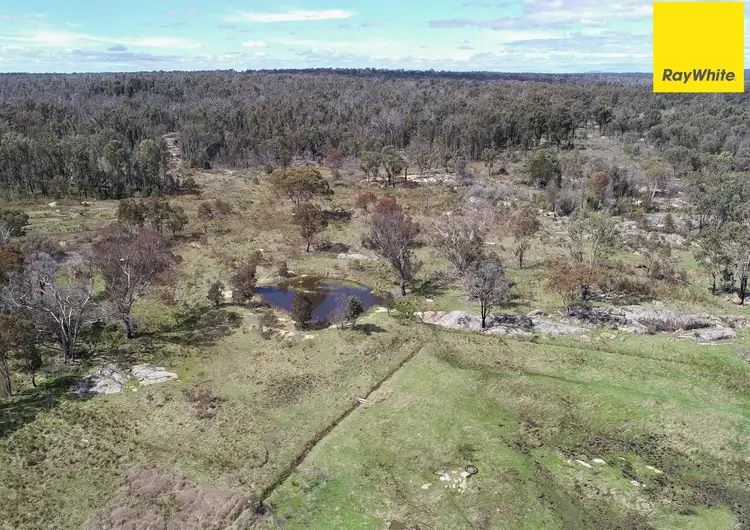 Main view of Homely rural property listing, 2966 Bundarra Road, Inverell NSW 2360