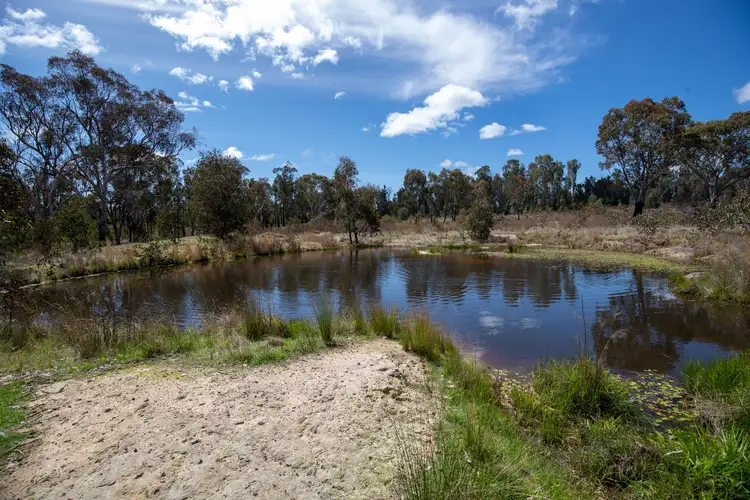 Second view of Homely rural property listing, 2966 Bundarra Road, Inverell NSW 2360
