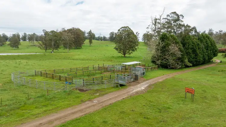 Sixth view of Homely rural property listing, 145 Kangaroo Flat Road, Walcha NSW 2354