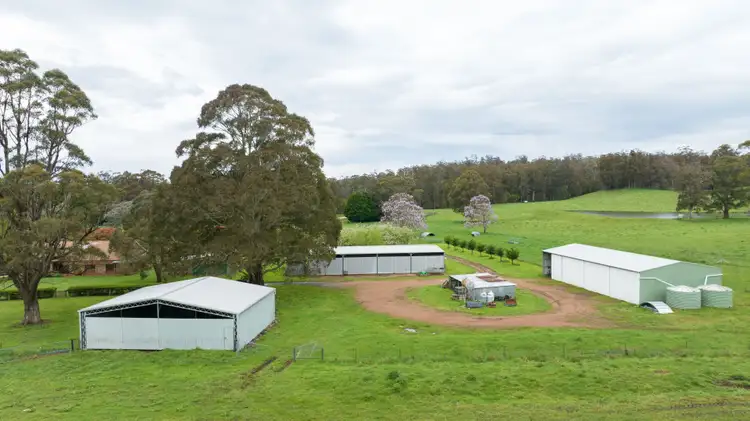 Seventh view of Homely rural property listing, 145 Kangaroo Flat Road, Walcha NSW 2354