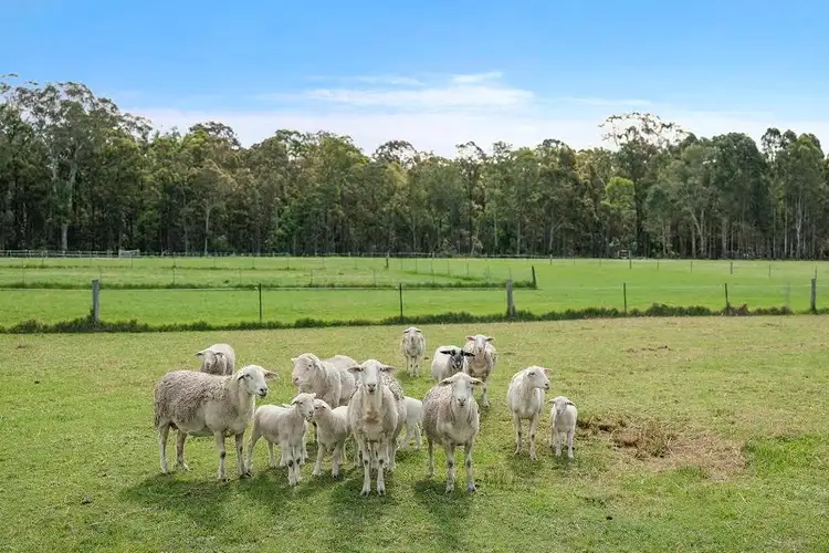 Seventh view of Homely land listing, 79 Boatfalls Drive, Clarence Town NSW 2321