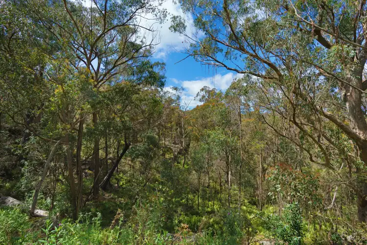 Second view of Homely rural property listing, Lot 3 Swifts Lane, Woodlands NSW 2575