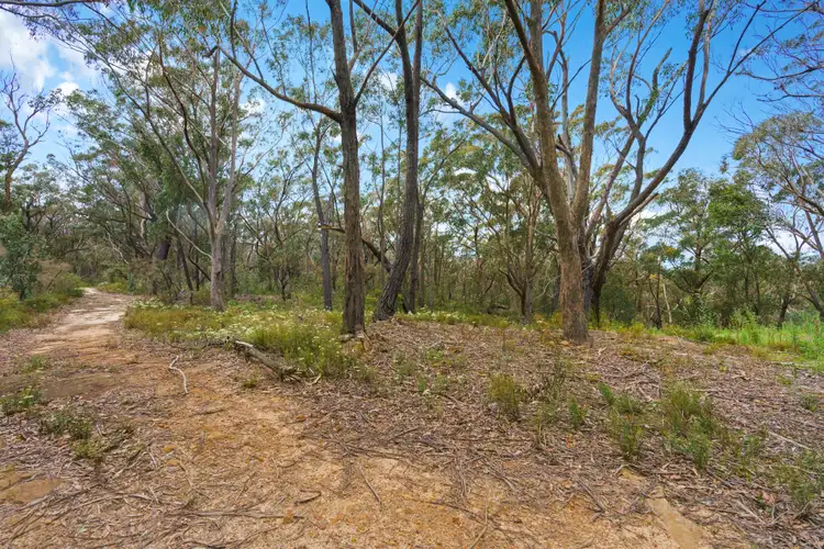 Fourth view of Homely rural property listing, Lot 3 Swifts Lane, Woodlands NSW 2575