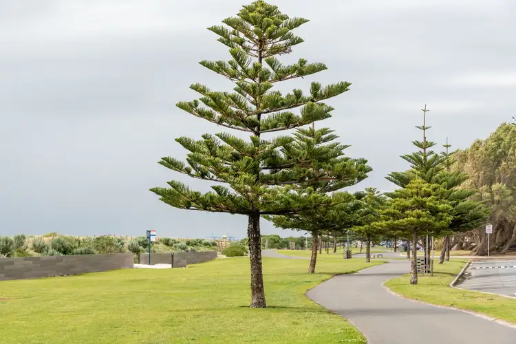 Second view of Homely unit listing, 2/22 Esplanade, Semaphore South SA 5019
