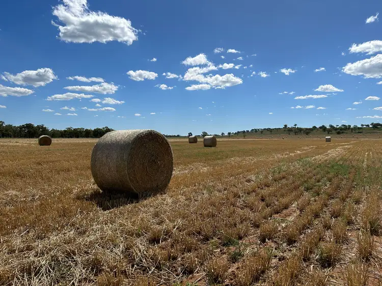 Lot 43 Kelvinhaugh-Boodua Road, Boodua QLD 4401