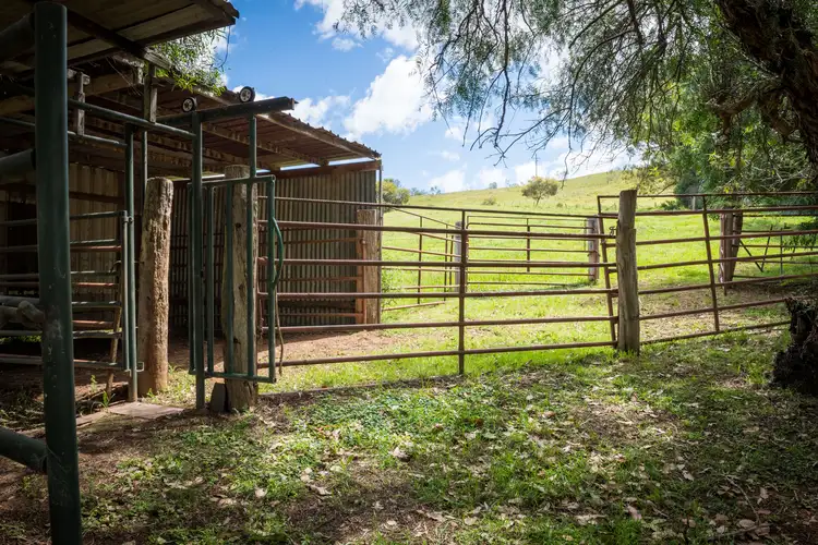 Sixth view of Homely rural property listing, 1471 Gundy Road, Scone NSW 2337
