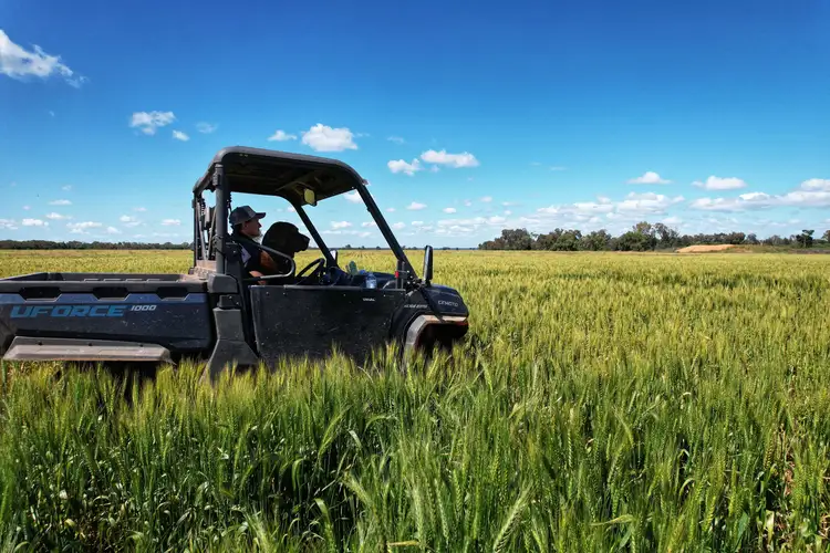 Mount Tinda 895 Rosedale Road, Condobolin NSW 2877
