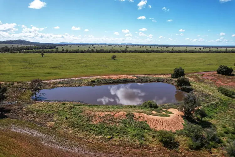 Sixth view of Homely rural property listing, Mount Tinda 895 Rosedale Road, Condobolin NSW 2877