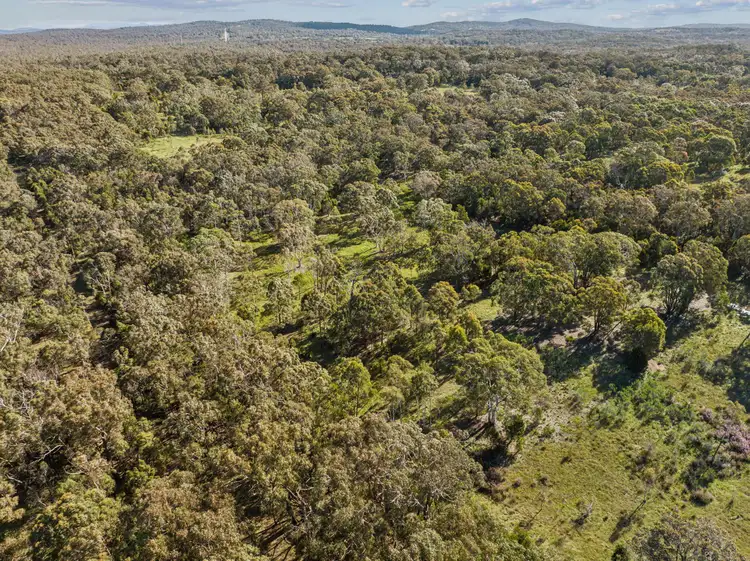 Seventh view of Homely rural property listing, 989 Cullulla Road, Goulburn NSW 2580