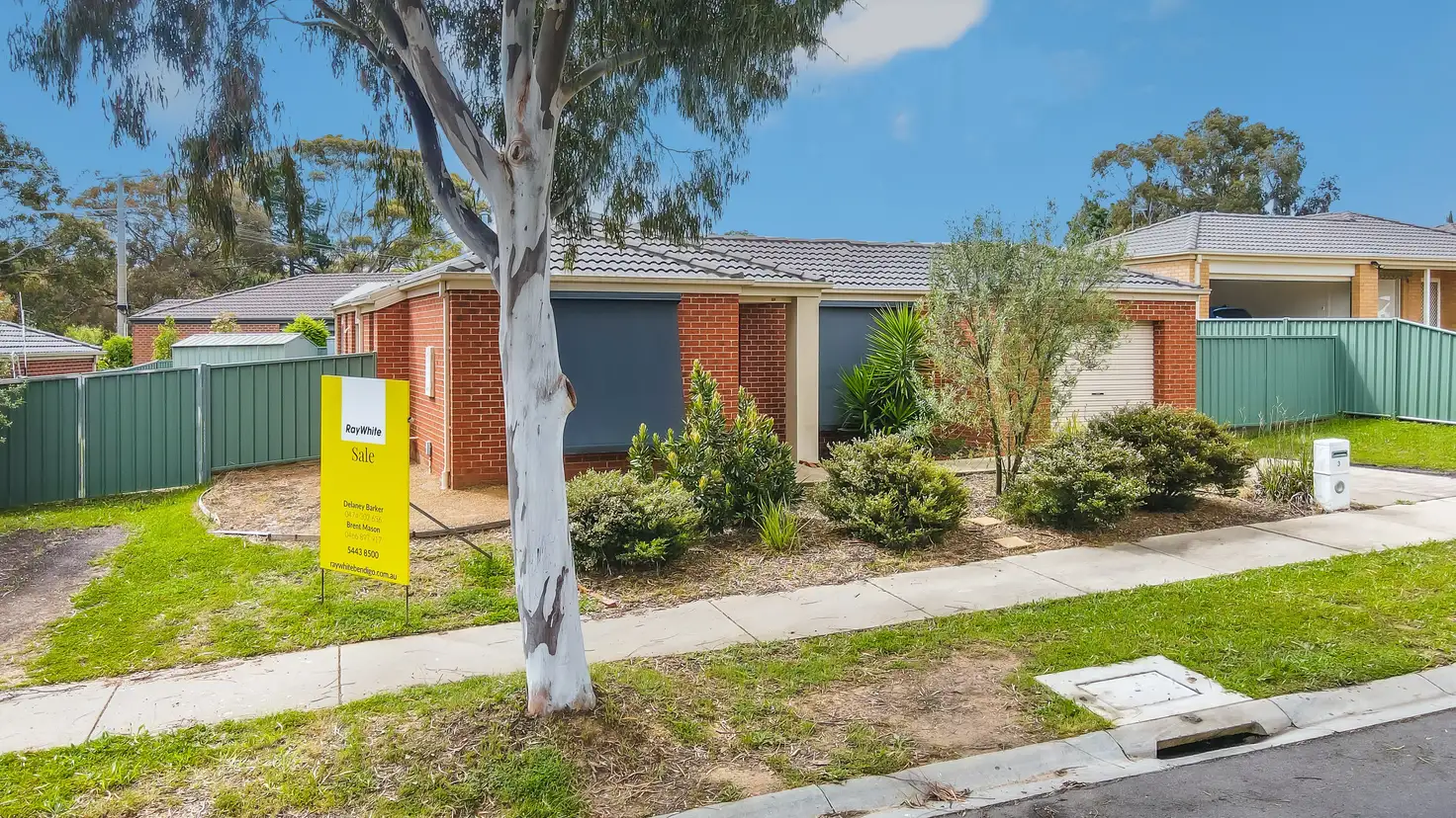 Main view of Homely house listing, 3 Sundew Drive, Kangaroo Flat VIC 3555