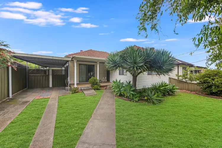 71 Webb Street, Riverwood NSW 2210