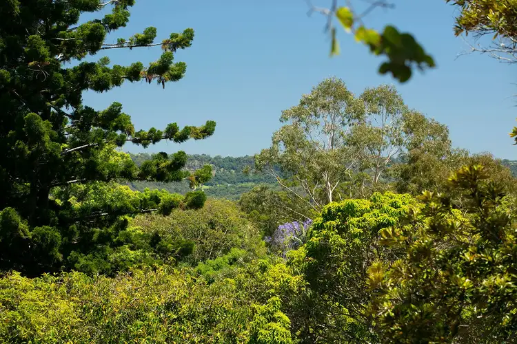Sixth view of Homely land listing, 4 Wilson Lane, Woombye QLD 4559