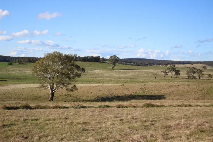 Second view of Homely rural property listing, 320 Scribbly Gum Lane, Wingello NSW 2579