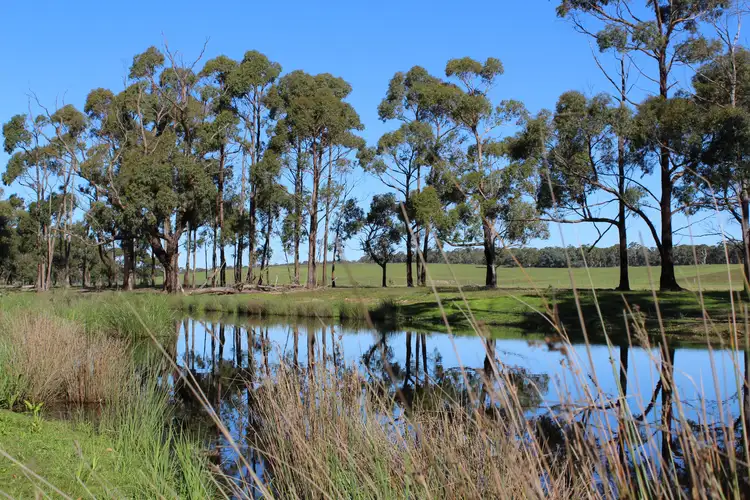 Fourth view of Homely rural property listing, 320 Scribbly Gum Lane, Wingello NSW 2579