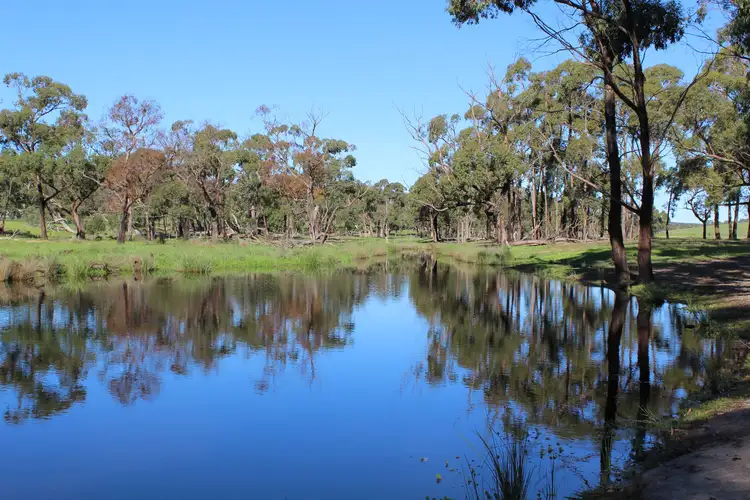 Fifth view of Homely rural property listing, 320 Scribbly Gum Lane, Wingello NSW 2579