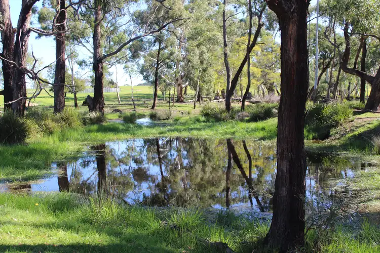 Seventh view of Homely rural property listing, 320 Scribbly Gum Lane, Wingello NSW 2579