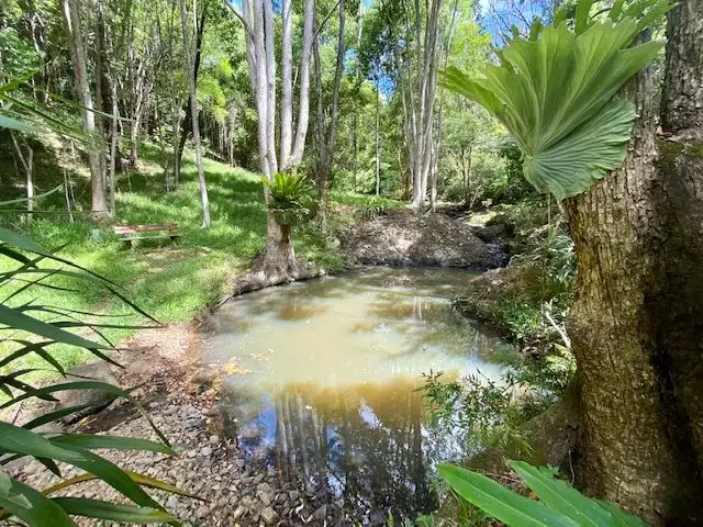 Third view of Homely land listing, 8 Tallowood Terrace, Currumbin Valley QLD 4223
