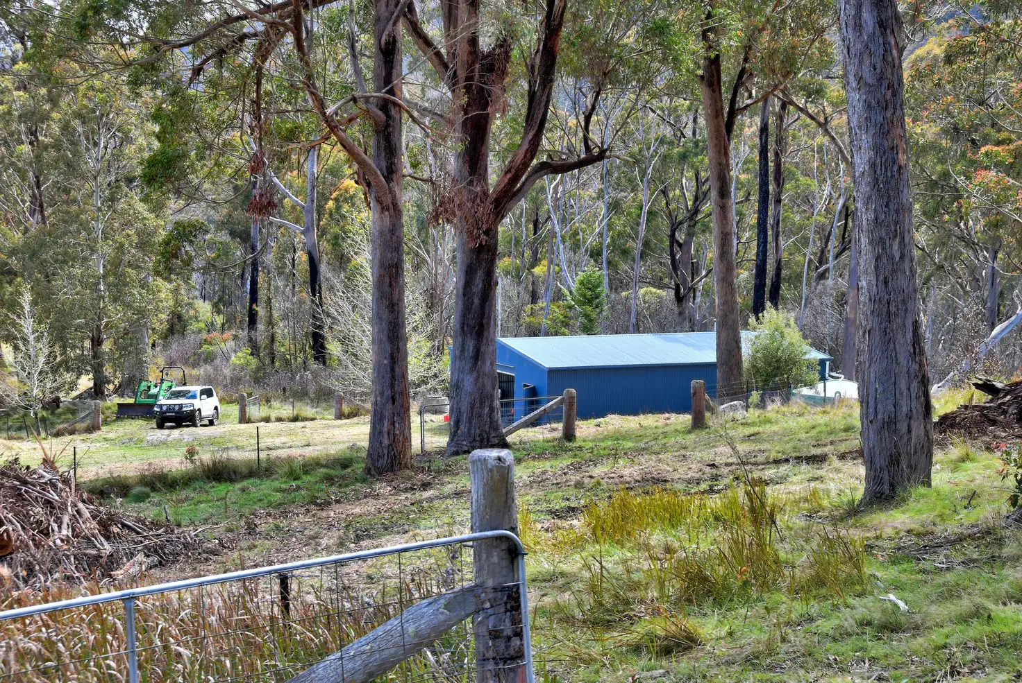 Main view of Homely rural property listing, 1505 Mt Speribo Road, Tenterfield NSW 2372