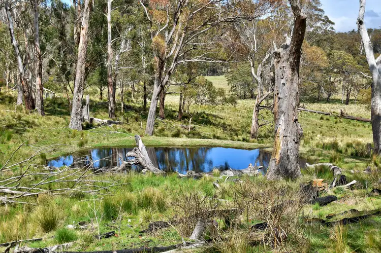 Second view of Homely rural property listing, 1505 Mt Speribo Road, Tenterfield NSW 2372
