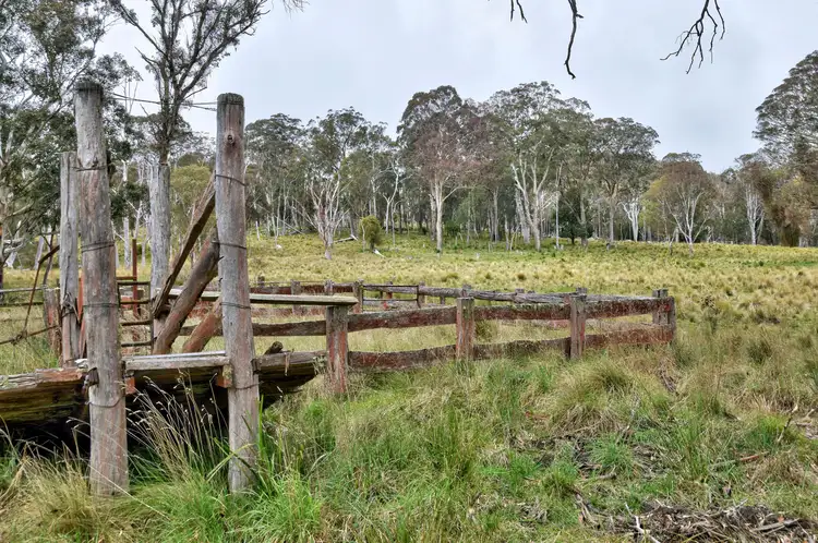 Third view of Homely rural property listing, 1505 Mt Speribo Road, Tenterfield NSW 2372