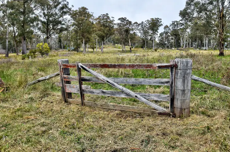 Fifth view of Homely rural property listing, 1505 Mt Speribo Road, Tenterfield NSW 2372
