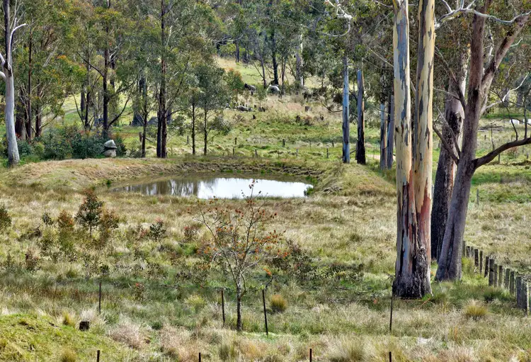 Sixth view of Homely rural property listing, 1505 Mt Speribo Road, Tenterfield NSW 2372