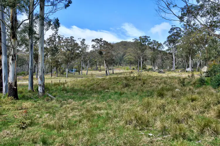 Seventh view of Homely rural property listing, 1505 Mt Speribo Road, Tenterfield NSW 2372