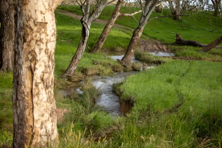 Third view of Homely rural property listing, 1570 Meadow Creek Road, Meadow Creek VIC 3678