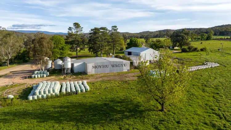 Fifth view of Homely rural property listing, 1570 Moyhu-Meadow Creek Road, Meadow Creek VIC 3678