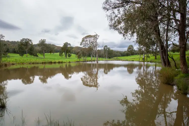 Sixth view of Homely rural property listing, 1570 Moyhu-Meadow Creek Road, Meadow Creek VIC 3678