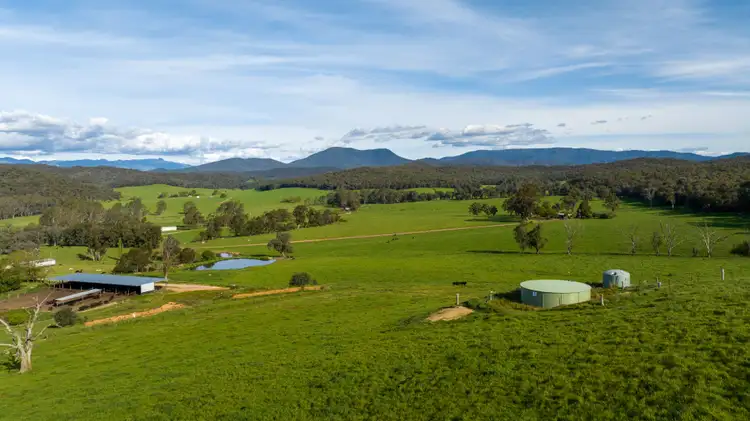 Seventh view of Homely rural property listing, 1570 Moyhu-Meadow Creek Road, Meadow Creek VIC 3678